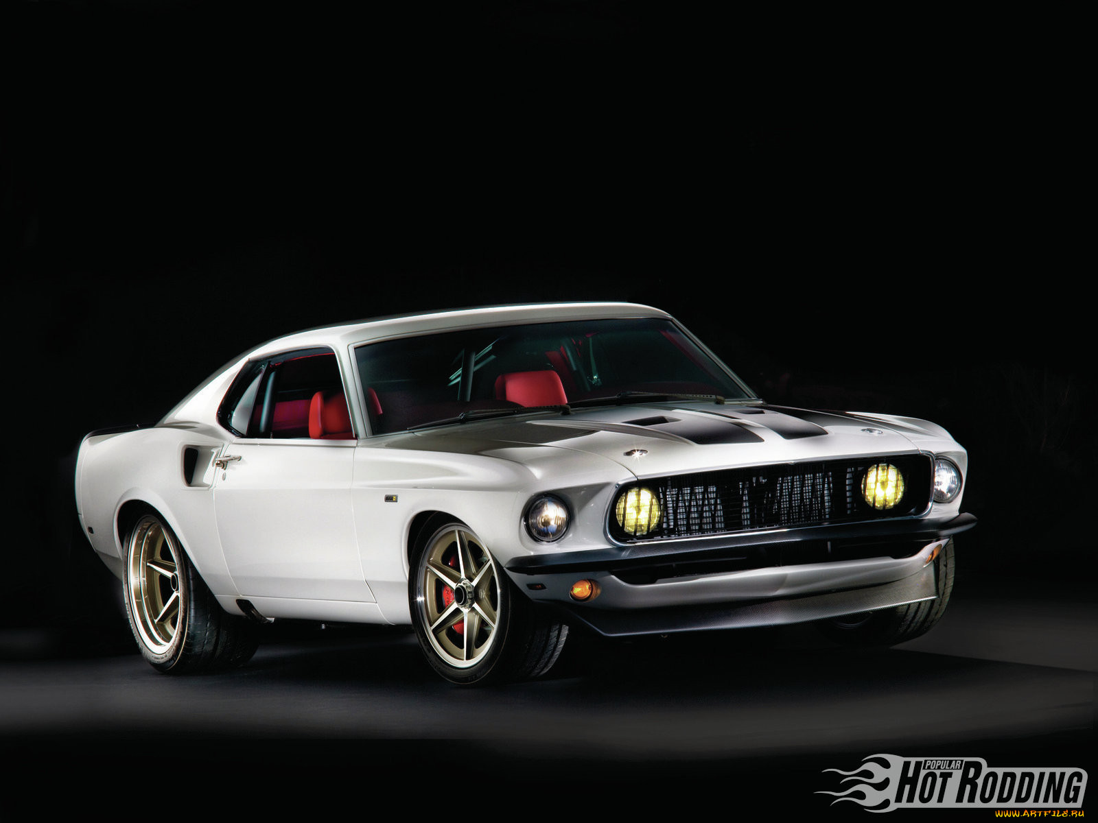 , mustang